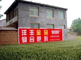 温县如何让墙体广告展现最大化效果