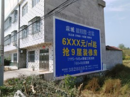 温县墙体广告质量分析