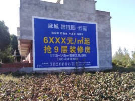 温县品牌公司青睐的墙体广告