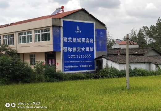 温县决定墙体广告价格的因素有哪些?