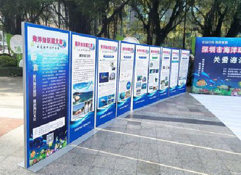 温县KT板的种类和知识。